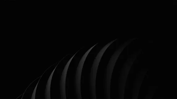 ستاردا كازينو الدعم